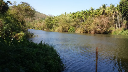 River and its banks with full of greenery