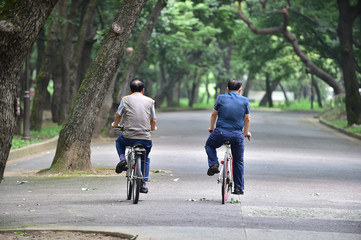 Korean Old Men Riding Bicycles in the Park