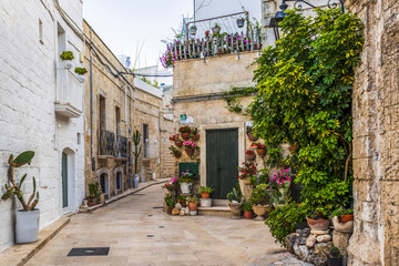 Naklejka premium Ruelle fleurie dans la ville de Monopoli en Italie