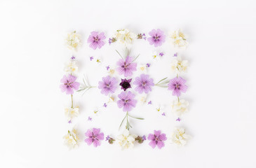 Square ornament made of summer flowers on white background. Flat lay, top view, copy space