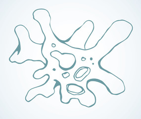 Amoeba. Vector drawing sign icon