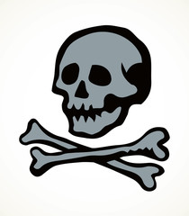 Skull and Bones. Vector drawing