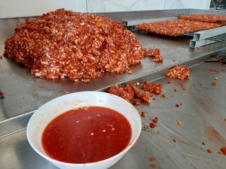 Traditional turkish adana kebab ready to cook