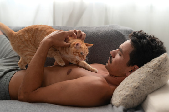 gato atigrado de color marron camina sobre el pecho de un hombre joven acostado en un sofa. El hombre acaricia la cabeza del gato