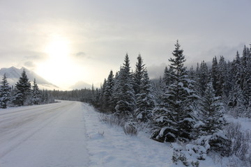 Icefields parkway - Alberta Canada