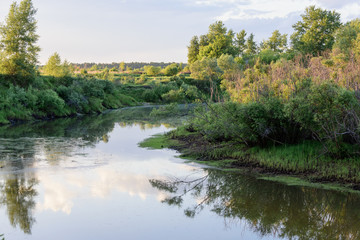Fototapeta na wymiar Calm river flowing along the field.