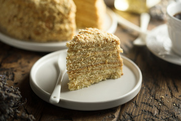 Traditional homemade Russian honey cake