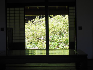 北海道の風景 有珠善光寺 客殿からの新緑風景
