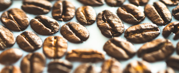 Roasted coffee beans on white milk background. Coffee beans in milk. Top view macro shot of arabica, robusta and iberica coffee seeds. 