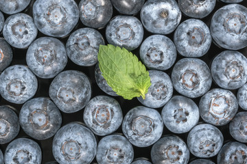 Sweet ripe blueberries