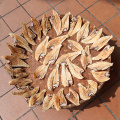 Sun dried fish on bamboo basket.