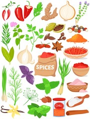 Spices herbs vector illustration set. Cartoon flat herbal spices for cooking food collection with fresh dry red hot chili peppers, bag of dried paprika, leaves of parsley basil mint isolated on white