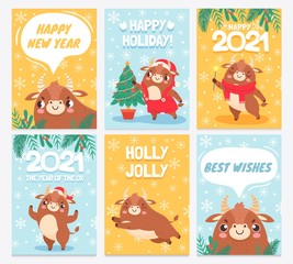 Ox 2021. Happy chinese new year greeting cards, bull with horns prosperity zodiac sign with asian elements eastern horoscope vector set. Cute bull with Santa hat, scarf and evergreen tree