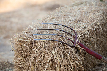 Traditional manure fork with four teeth