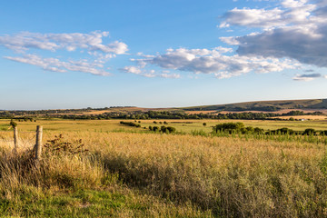 Looking out over a South Downs Landscape © lemanieh