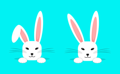 Easter white bunny. Rabbit ears. Beautiful, cute rabbit. Vector illustration