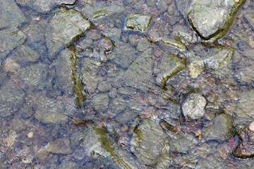 A close view of the wet rocks and stones in the water.
