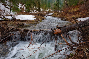 Russia. kuznetsk alatau. A tributary of the Tom river filled with meltwater.