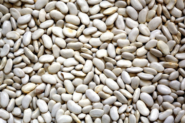 Closeup of a pile of dry white beans. White natural background.