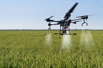 Drone sprayer flies over the wheat field. Smart farming and precision agriculture © scharfsinn86