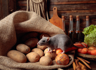 Rat on a wooden table with vegetables and kitchen utensils.