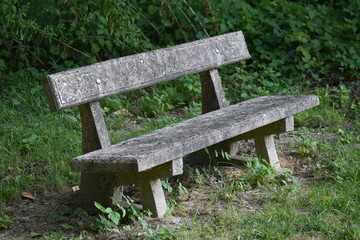 Fototapeta premium Stone bench in the wood