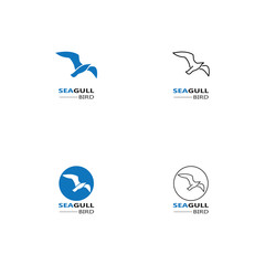 Seagull  Bird logo icon  vector designs