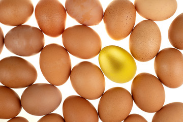 Close-up easter gold egg chicken surrounded by nature fresh eggs on white background