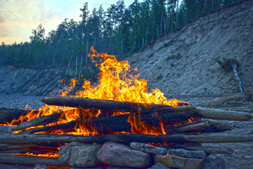 outdoor bonfire. Security breach. Destructive fire. The blazing flames of a fire in the forest. - 373105717