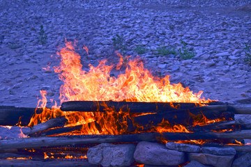 outdoor bonfire. Security breach. Destructive fire. The blazing flames of a fire in the forest. - 373105741