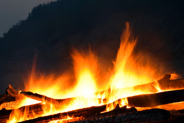 outdoor bonfire. Security breach. Destructive fire. The blazing flames of a fire in the forest. - 373105765