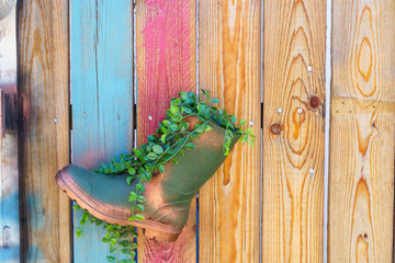 Old rubber overshoe that functions as flowerpot to grow a plant in it