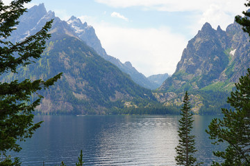 Fototapeta na wymiar View of Jenny Lake in summer in Grand Teton National Park in Wyoming, United States