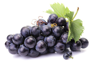 Grapes on a white background