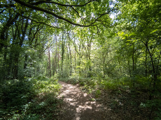 Fototapeta premium GR 5 Part of Belgium (Flanders) between Bokrijk and Maastricht