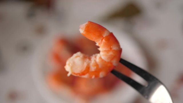 A tasty peeled boiled shrimp on a fork