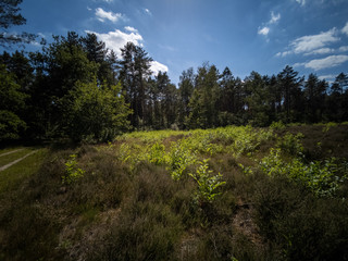 GR 5 Part of Belgium (Flanders) between Bokrijk and Maastricht