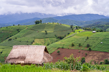 Fototapeta na wymiar Wooden cottage at rice terrace field against mountain scape.
