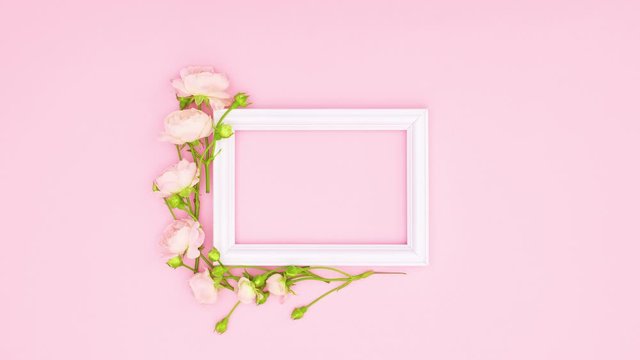 Romantic roses surround white frame for text on pink theme. Stop motion 