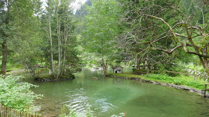 Forellenteich umgeben von herrlicher Natur