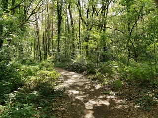 GR 5 Part of Belgium (Flanders) between Bokrijk and Maastricht