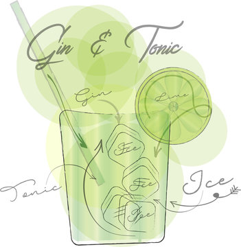 Gin & Tonic Vector on a white background