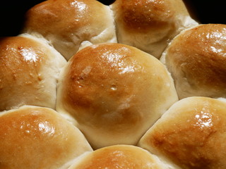 Dinner Rolls