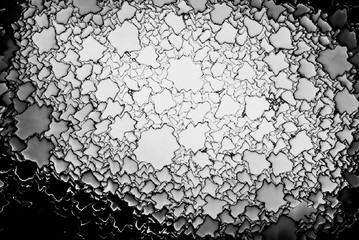 Macro photography black and white background
