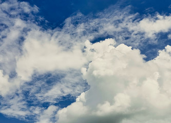 Obraz premium Jack climbing up the beanstalk