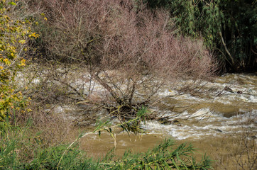 Fototapeta premium Mountainous Jordan River flowing south into the Sea of Galilee (Lake Kinneret) in winter, Upper Galilee, Northern Israel, Israel.