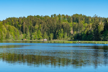 Holzhütte am idyllischen Hackensee