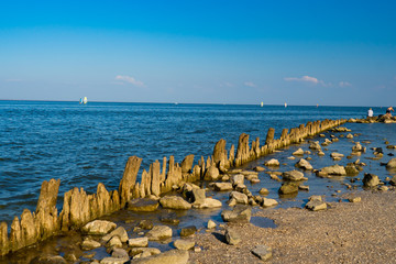 wooden posts covered in seaweed and rocks in sea.
