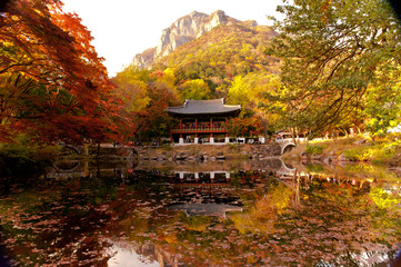 Fototapeta premium The landscape of autumn mountain and stream,reflection.