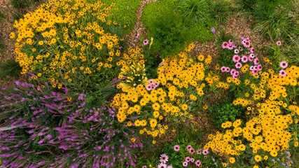 Purple lavender, yellow and blue daisies and other colorful flowers